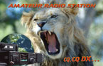 qsl card - for personalization